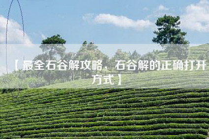 【最全石谷解攻略，石谷解的正确打开方式】