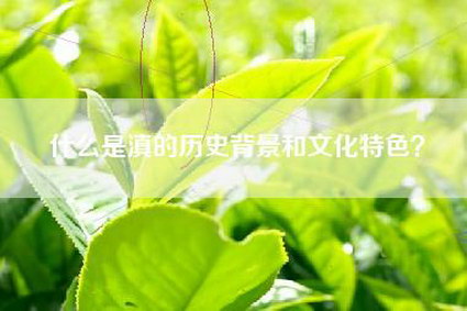 什么是滇的历史背景和文化特色？