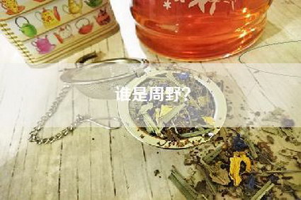 谁是周野？