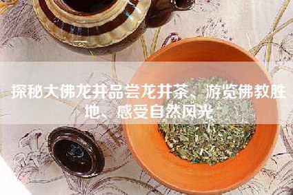 探秘大佛龙井品尝龙井茶、游览佛教胜地、感受自然风光