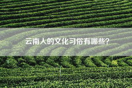 云南人的文化习俗有哪些？