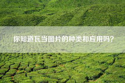 你知道瓦当图片的种类和应用吗？