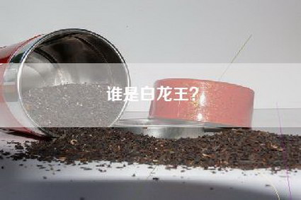 谁是白龙王？