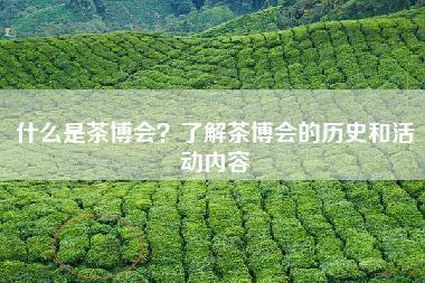 什么是茶博会？了解茶博会的历史和活动内容