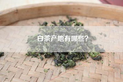 白茶产地有哪些？