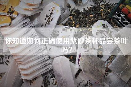 你知道如何正确使用紫砂茶杯品尝茶叶吗？