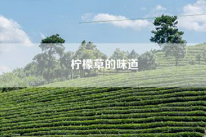 柠檬草的味道