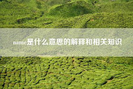 name是什么意思的解释和相关知识