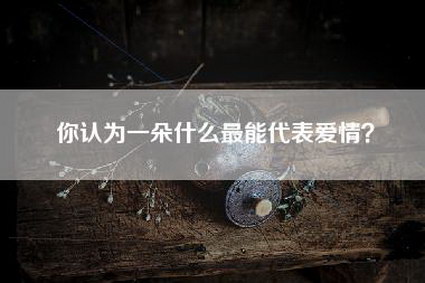 你认为一朵什么最能代表爱情？