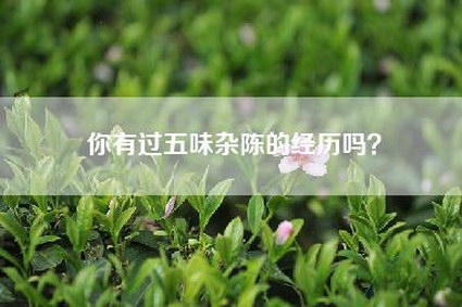 你有过五味杂陈的经历吗？
