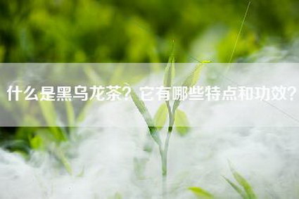 什么是黑乌龙茶？它有哪些特点和功效？