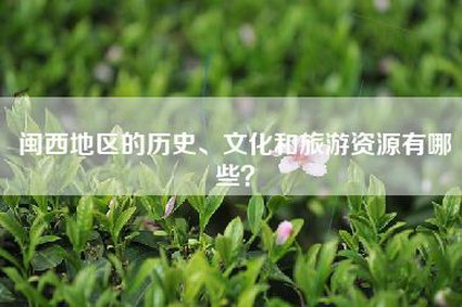 闽西地区的历史、文化和旅游资源有哪些？