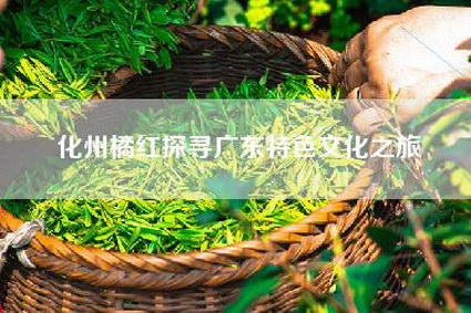 化州橘红探寻广东特色文化之旅