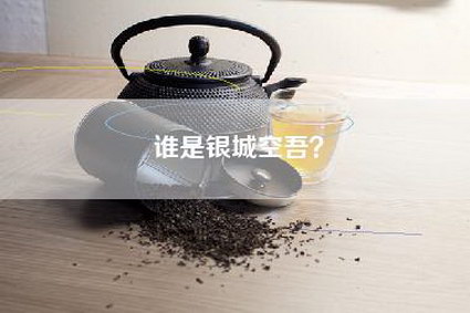 谁是银城空吾？