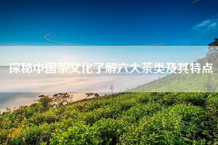 探秘中国茶文化了解六大茶类及其特点