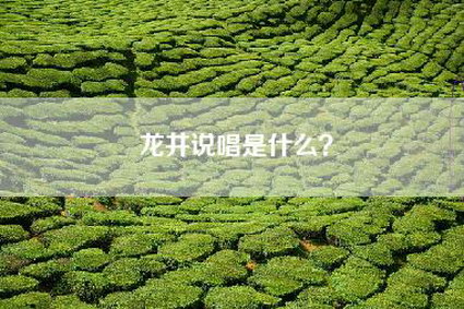 龙井说唱是什么？