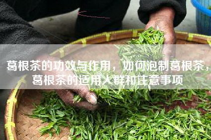 葛根茶的功效与作用，如何泡制葛根茶，葛根茶的适用人群和注意事项