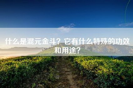 什么是混元金斗？它有什么特殊的功效和用途？