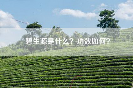 碧生源是什么？功效如何？