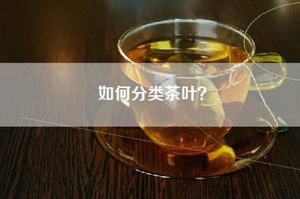 如何分类茶叶？
