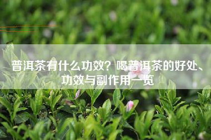 普洱茶有什么功效？喝普洱茶的好处、功效与副作用一览