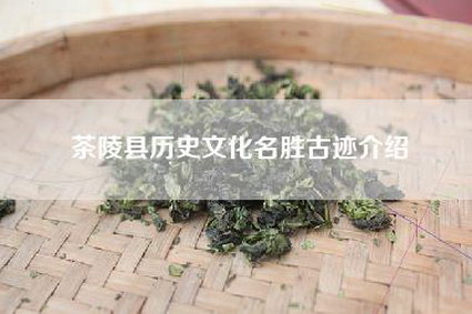 茶陵县历史文化名胜古迹介绍