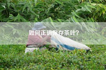 如何正确保存茶叶？