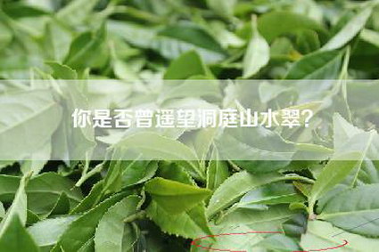 你是否曾遥望洞庭山水翠？