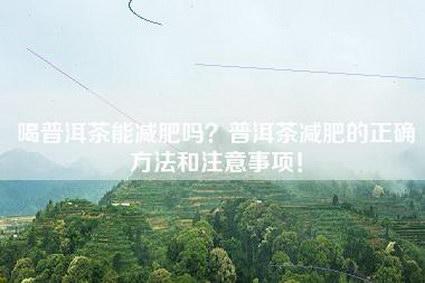 喝普洱茶能减肥吗？普洱茶减肥的正确方法和注意事项！