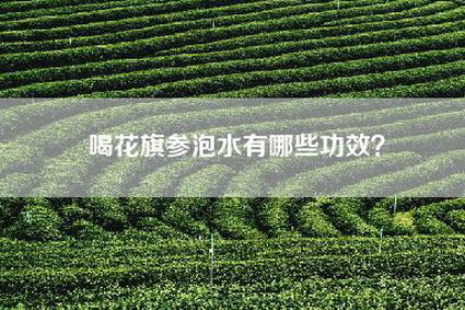 喝花旗参泡水有哪些功效？
