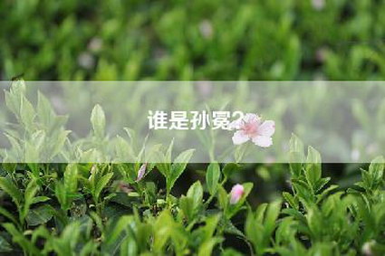 谁是孙冕？
