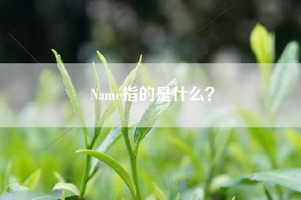 Name指的是什么？