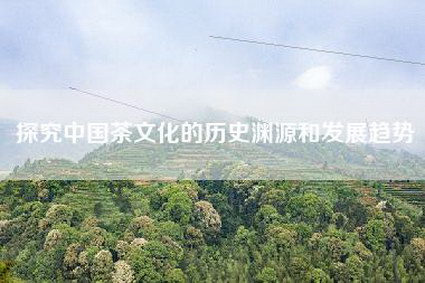 探究中国茶文化的历史渊源和发展趋势