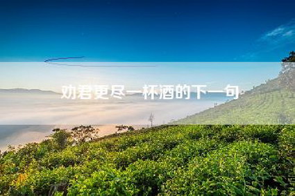 劝君更尽一杯酒的下一句