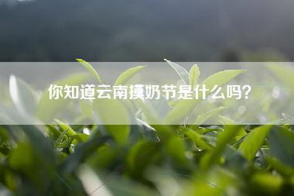 你知道云南摸奶节是什么吗？
