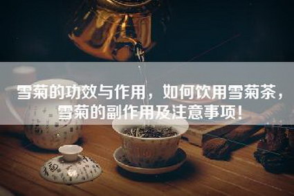 雪菊的功效与作用，如何饮用雪菊茶，雪菊的副作用及注意事项！