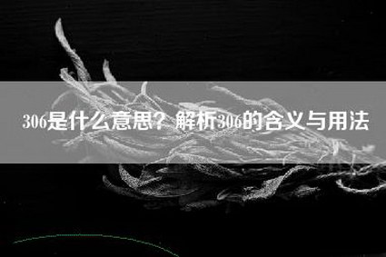 306是什么意思？解析306的含义与用法