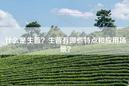 什么是生普？生普有哪些特点和应用场景？