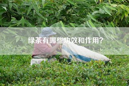 绿茶有哪些功效和作用？
