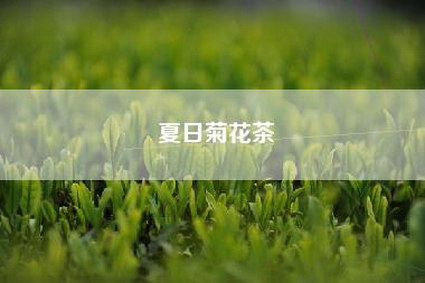 夏日菊花茶