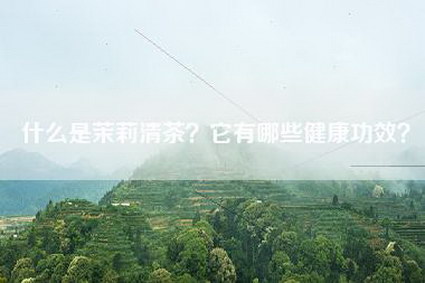 什么是茉莉清茶？它有哪些健康功效？