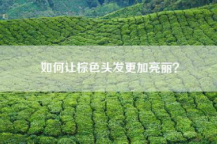如何让棕色头发更加亮丽？