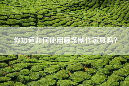 你知道如何使用藤条制作家具吗？