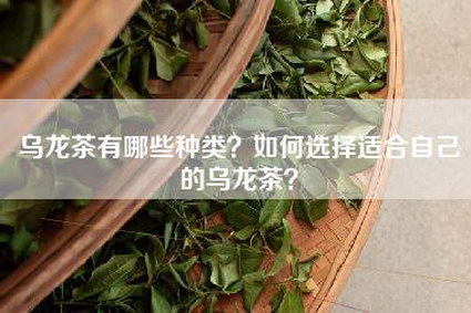乌龙茶有哪些种类？如何选择适合自己的乌龙茶？
