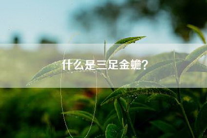 什么是三足金蟾？