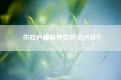 你知道哪些有效的减肥茶？