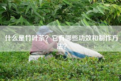 什么是竹叶茶？它有哪些功效和制作方法？