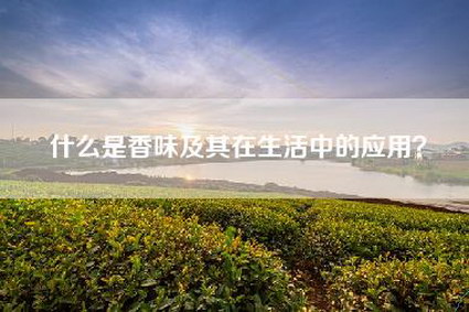 什么是香味及其在生活中的应用？
